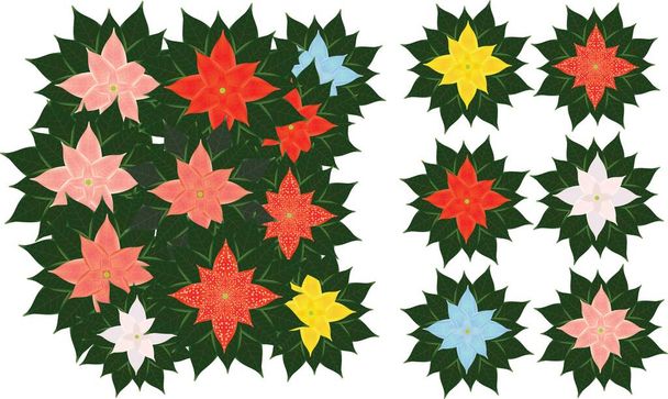 Set of vector compositions from  Poinsettia Flower. for wedding concept - flowers, Floral posters, vector arrangements for greeting card or invitation design, and other. - ベクター画像