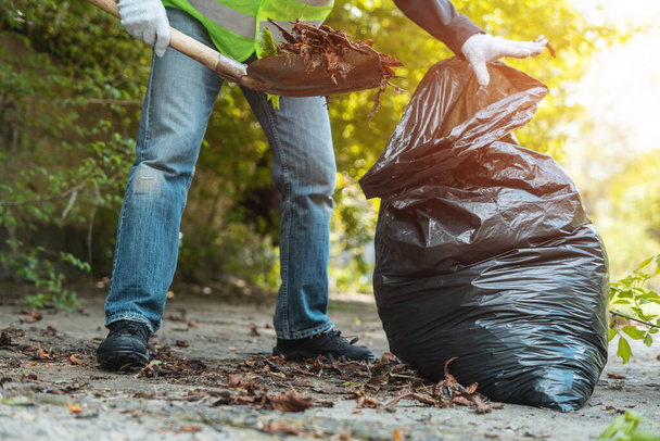 man volunteer clean up park or collect foliage with shovel in garbage bag - Foto, imagen