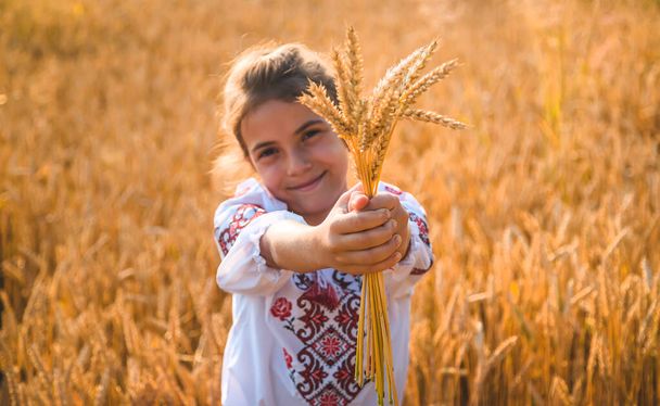 Ребёнок на пшеничном поле. В Вышыванке концепция Дня Независимости Украины. Выборочный фокус. Kid. - Фото, изображение
