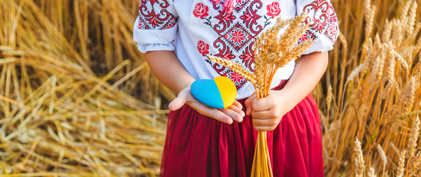 Enfant dans un champ de blé. Dans vyshyvanka, le concept de la fête de l'indépendance de l'Ukraine. Concentration sélective. Enfant.. - Photo, image