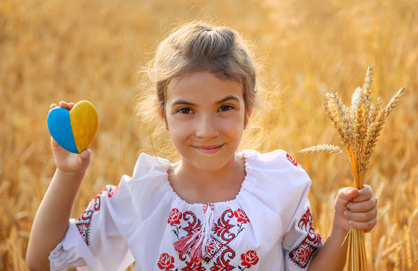 Lapsi vehnäpellolla. Vuonna vyshyvanka, käsite itsenäisyyspäivä Ukrainan. Valikoiva keskittyminen. Poika.. - Valokuva, kuva