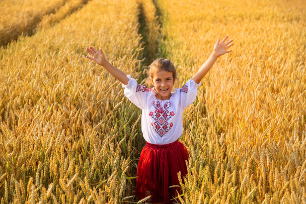 Criança num campo de trigo. Em vyshyvanka, o conceito do Dia da Independência da Ucrânia. Foco seletivo. Miúdo. - Foto, Imagem