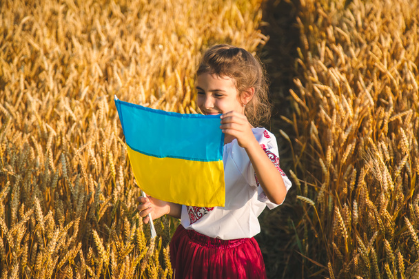 Дитина на полі пшениці. У Вишиванці концепція Дня Незалежності України. Вибіркове фокусування. Малюк. - Фото, зображення