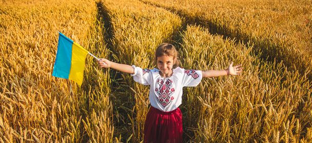 Criança num campo de trigo. Em vyshyvanka, o conceito do Dia da Independência da Ucrânia. Foco seletivo. Miúdo. - Foto, Imagem