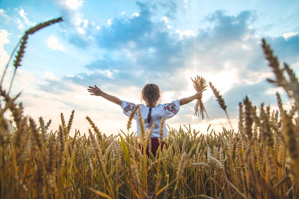 Kind in einem Weizenfeld. In vyshyvanka, das Konzept des Unabhängigkeitstages der Ukraine. Selektiver Fokus. Kind. - Foto, Bild