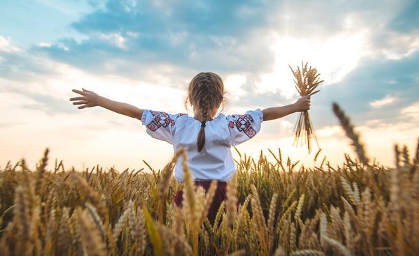 Buğday tarlasında bir çocuk. Vyshyvanka 'da, Ukrayna' nın Bağımsızlık Günü kavramı. Seçici odaklanma. Çocuk. - Fotoğraf, Görsel