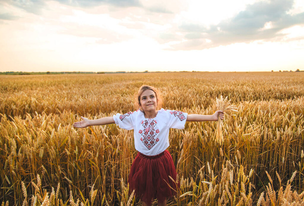 Kind in einem Weizenfeld. In vyshyvanka, das Konzept des Unabhängigkeitstages der Ukraine. Selektiver Fokus. Kind. - Foto, Bild