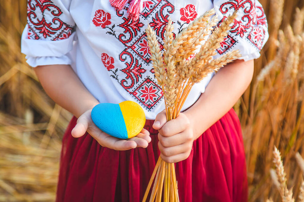 Enfant dans un champ de blé. Dans vyshyvanka, le concept de la fête de l'indépendance de l'Ukraine. Concentration sélective. Enfant.. - Photo, image