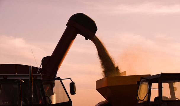 Aratógép, aratás az argentin vidéken, Buenos Aires tartomány, Argentína. - Fotó, kép