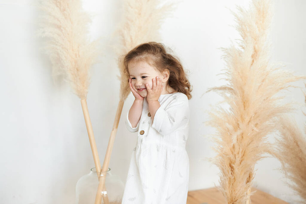 Cute girl 3 year old posing in studio. Portrait of emotionally kid. Funny beautiful child girl - Фото, изображение