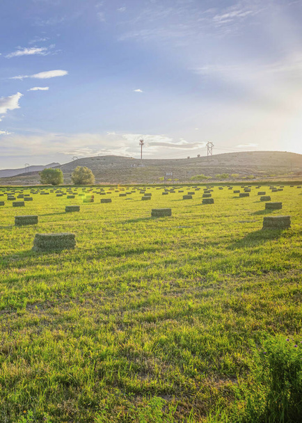Κάθετη Utah Valley γεωργικό τοπίο της γεωργικής γης με ζωντανό πράσινο βοσκότοπο - Φωτογραφία, εικόνα