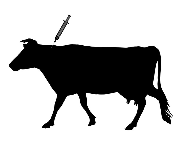 αγελάδα που παίρνει έναν εμβολιασμό λόγω καταρροϊκό πυρετό - Διάνυσμα, εικόνα