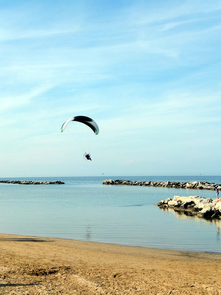 szybowiec pkt latające wzdłuż wybrzeża  - Zdjęcie, obraz