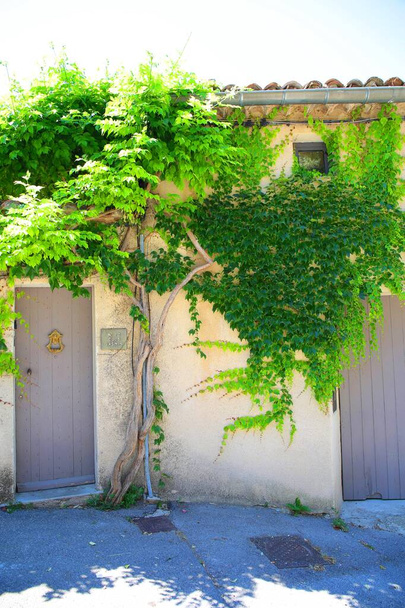 Provence 'deki Luberon bölgesinin büyüleyici ortaçağ köyü Lourmarin. - Fotoğraf, Görsel