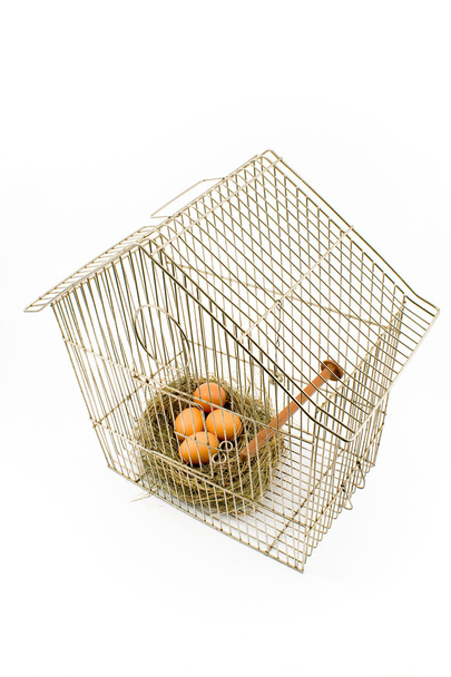 Huevos en nido confinados en jaula de aves aislados en blanco
 - Foto, Imagen