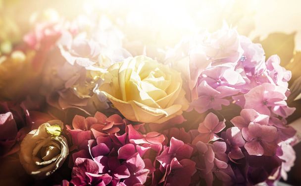 Um buquê festivo de um buquê de rosas e hortênsias nos raios de luz solar. Fundo flor - Foto, Imagem