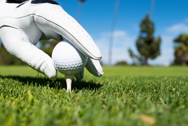 Closeup hand in golf gloves putting golf ball on tee in golf course. Golf ball in grass. - Fotografie, Obrázek