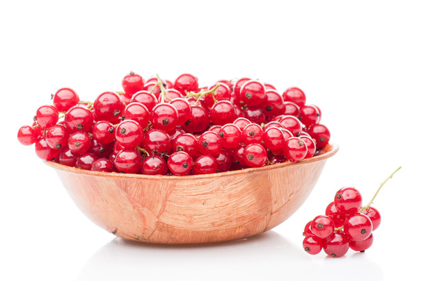 red currant  in plate - Foto, imagen