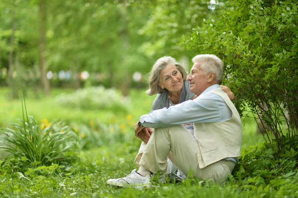 Elderly couple in summer park - Foto, Imagem