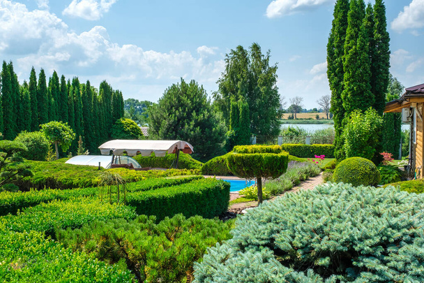 Jardim com arbustos bem aparados e piscina no quintal - Foto, Imagem