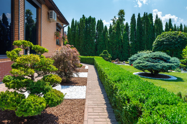 Backyard garden with nicely trimmed bonsai, bushes and bushes in side of villa - Foto, Imagem