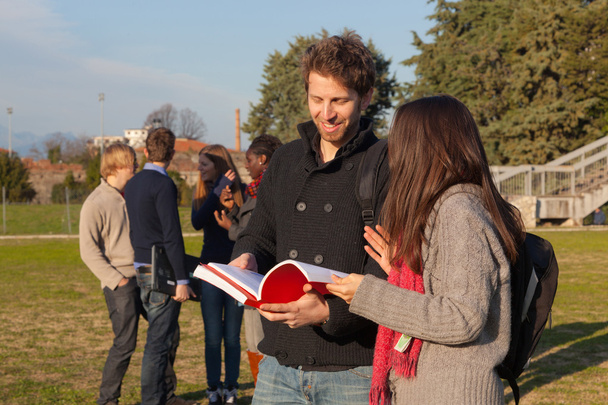 College Students Walking and Talking at Park - Fotoğraf, Görsel