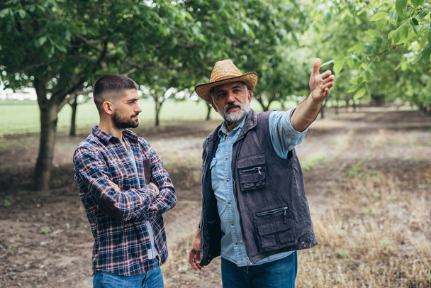 farmers standing and talking in orchard - Foto, Imagem