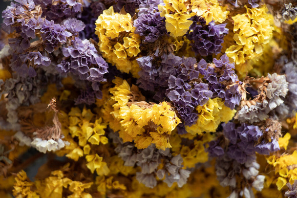 Цветы лимония синуатом в качестве фона, цветочный фон, сушеные цветы - Фото, изображение