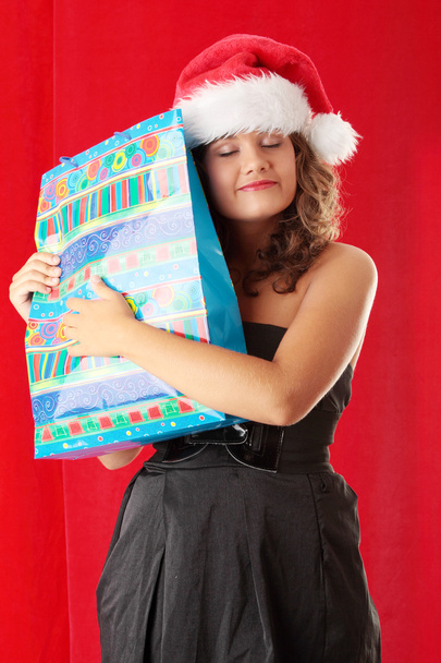 Portrait of beautiful young woman wearing santa claus hat with shopping bag on red background - Foto, Bild