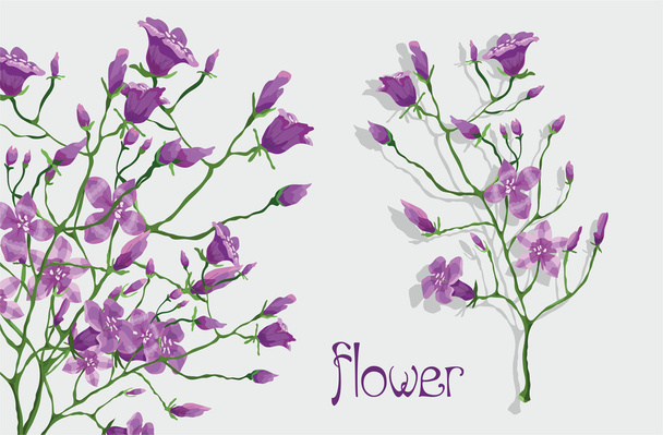 fleurs violettes - Vecteur, image