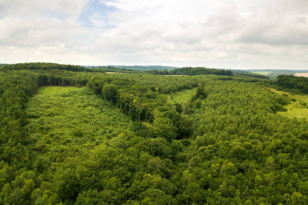 Πάνω κάτω εναέρια άποψη του πράσινου θερινού δάσους με μεγάλη έκταση των κομμένων δέντρων ως αποτέλεσμα της παγκόσμιας βιομηχανίας αποψίλωσης των δασών. Επιβλαβής επίδραση του ανθρώπου στην παγκόσμια οικολογία. - Φωτογραφία, εικόνα