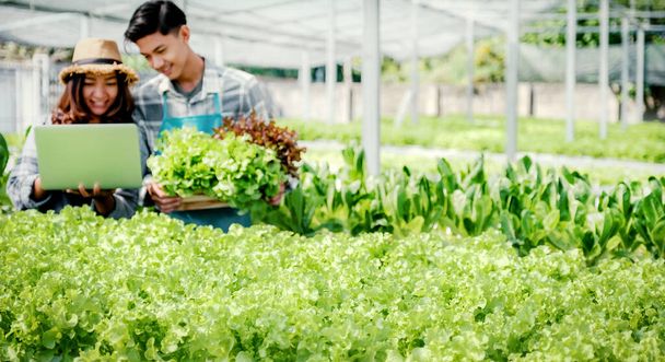 zöldség bio saláta, 2 Farmer ellenőrzi a minőségi saláta a hidroponikus gazdaság és rekord a laptop, hogy az ügyfelek a legjobb termék. - Fotó, kép