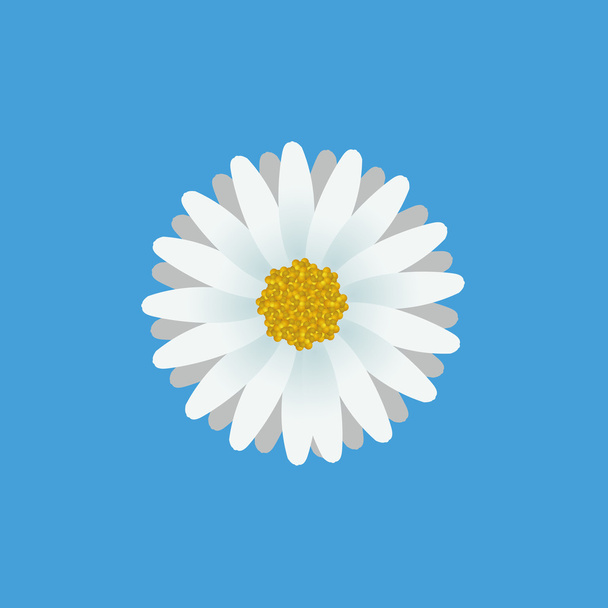 Stylish Flower Illustration Isolated On Background - Vector, afbeelding