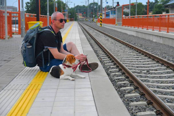 Mies ja hänen koiransa odottavat junaa rautatieaseman laiturilla. Vanhempi reppumatkaaja odottaa junaa. Matka, matka, loma, elämäntapa käsite - Valokuva, kuva