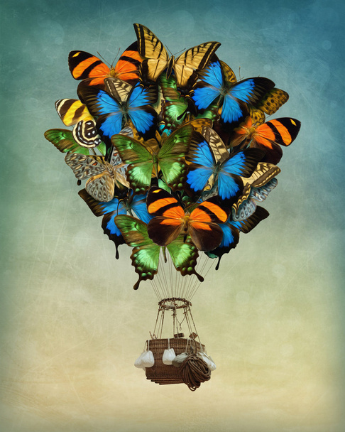 Butterfly hot air balloon - Фото, зображення