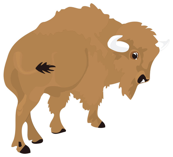 bison brun illustration vectorielle animale fond transparent - Vecteur, image