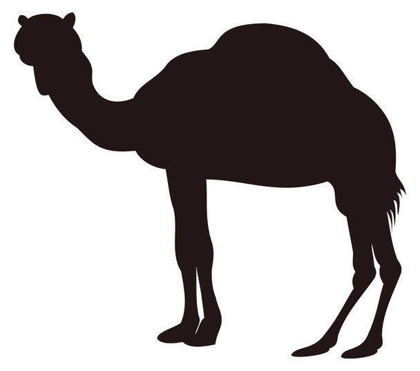 верблюд силует тварини Векторна ілюстрація прозорого фону
 - Вектор, зображення
