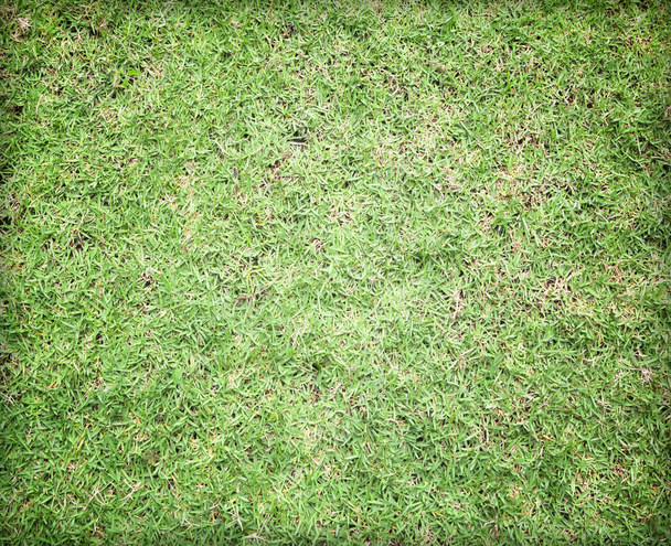arrière-plan du terrain de football vert
 - Photo, image