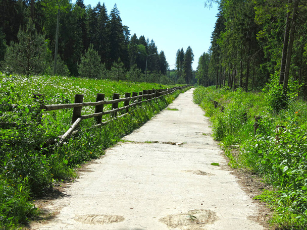 letní cesta lesem s vinobraním drsným dřevěným plotem - Fotografie, Obrázek