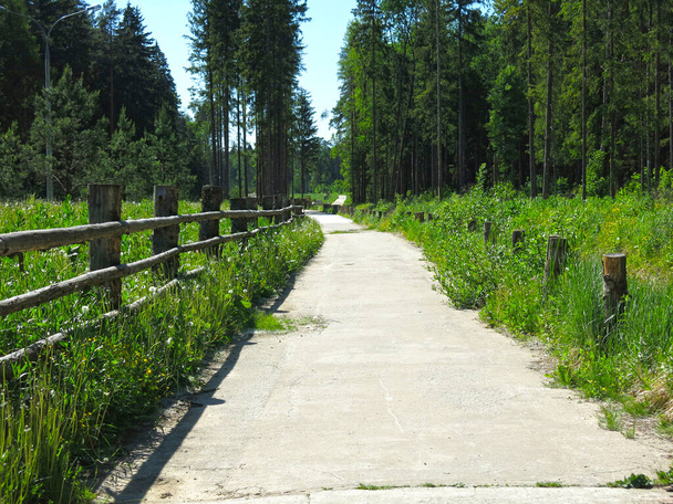 letní cesta lesem s vinobraním drsným dřevěným plotem - Fotografie, Obrázek