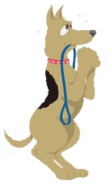 legrační pes prosit zvíře vektor ilustrace transparentní pozadí - Vektor, obrázek
