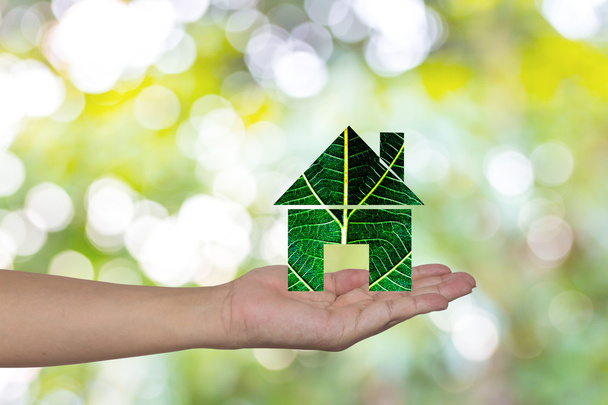 Зелений будинок в руках
 - Фото, зображення
