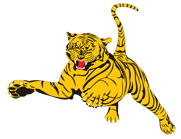 tiikeri vihainen pounce eläin vektori kuva läpinäkyvä tausta - Vektori, kuva