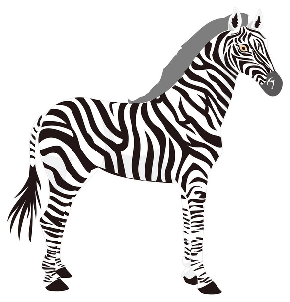 Зебра стоять векторные иллюстрации животных прозрачный фон - Вектор,изображение