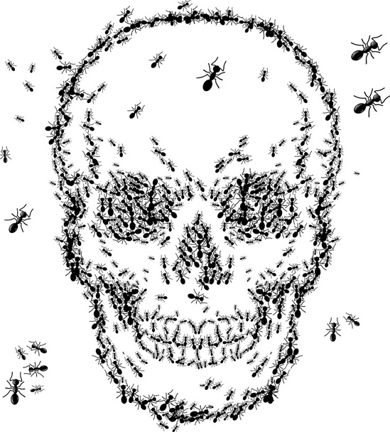 κρανίο σκίτσο σχεδιασμός με μυρμήγκι απομονωθεί σε λευκό - Διάνυσμα, εικόνα
