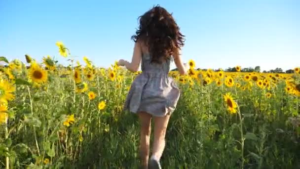 A kamera követi azt a csinos lányt, aki virágzó napraforgóval rohangál a mezőn. Fiatal nő ruhában szórakozás kocogni a réten. Szcenikus nyári táj. Boldogság és szabadság koncepció. Közelről. - Felvétel, videó