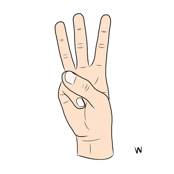 Lingua dei segni e l'alfabeto, La lettera W
 - Vettoriali, immagini