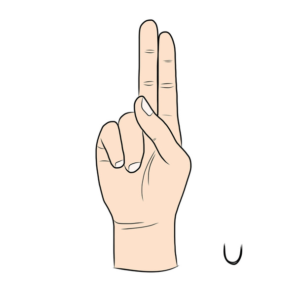 Мова жестів і алфавіт, Літера U
 - Вектор, зображення
