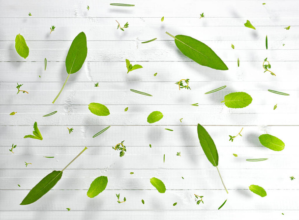 Leaves on a white wooden background. Flat lay. - Foto, immagini