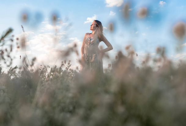 Young blissed woman with in summer field enjoying freedom and summer holidays - Foto, Imagen